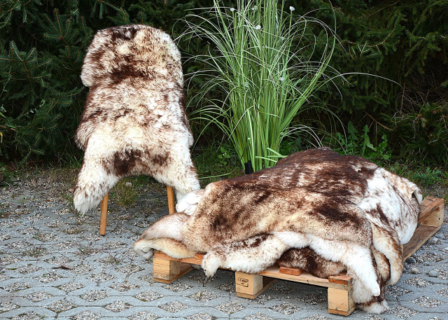 Unikat Mufflon Lammfell Öko Naturhaar Kurzhaar 95cm